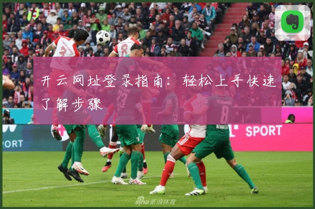 开云网址登录指南：轻松上手快速了解步骤