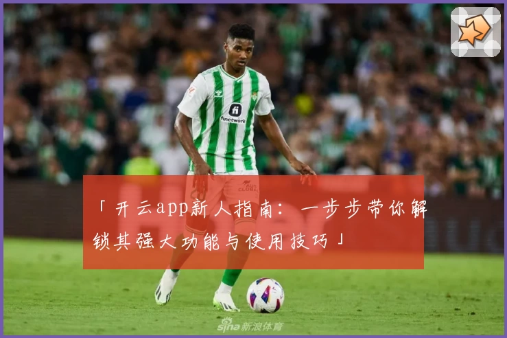 「开云app新人指南：一步步带你解锁其强大功能与使用技巧」