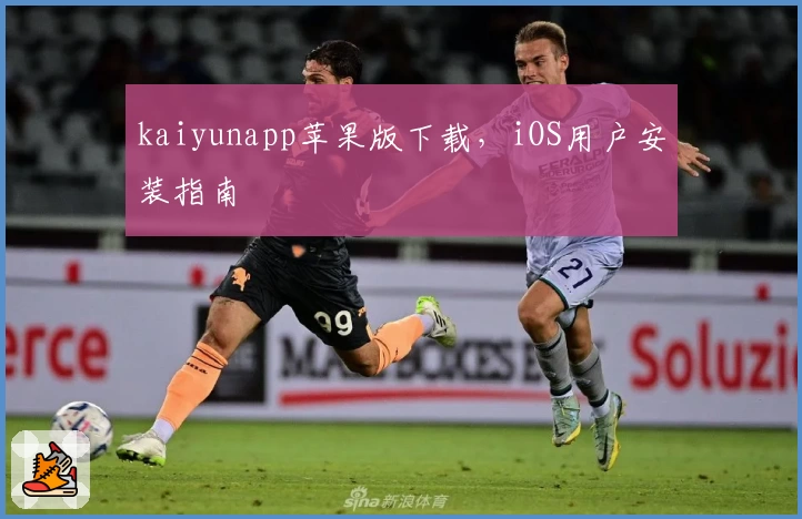 kaiyunapp苹果版下载，iOS用户安装指南