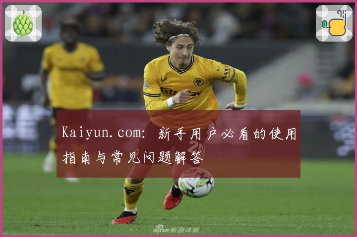 Kaiyun.com：新手用户必看的使用指南与常见问题解答