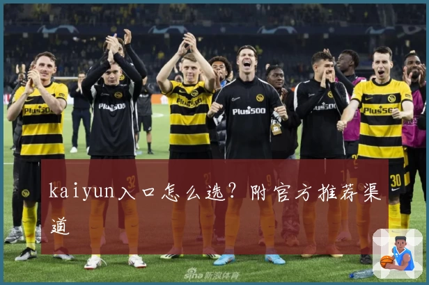 kaiyun入口怎么选？附官方推荐渠道